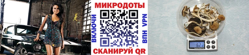 Галлюциногенные грибы ЛСД Аткарск